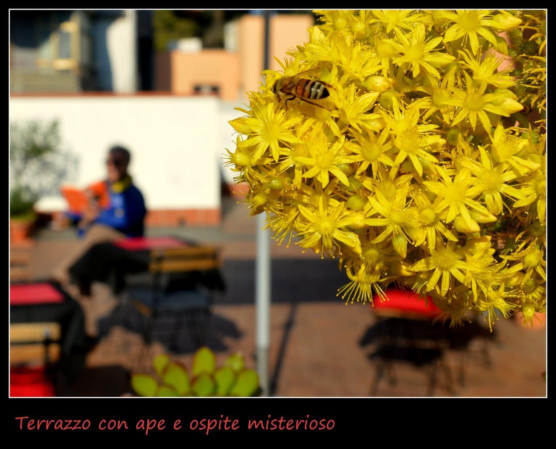 B&B Il Rosso E Il Nero Zafferana Etnea Exterior foto